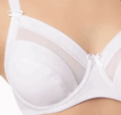 Reggiseno Senza Ferretto In Microfibra E Tulle Sempre Donna Art.351 -Moda Intimo Negozio 351b