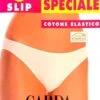 Slip Donna Cotone Elasticizzato Garda 3900 Outlet -Moda Intimo Negozio thumbnail photo 2019 09 12 15 02 19